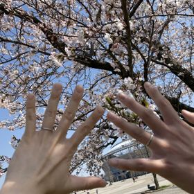 【俄(にわか)の口コミ】 夫婦どちらの指にもしっくりきたのが決め手になりました。価格も私たちの…