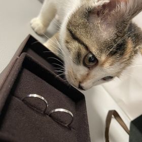 【Ankhore(アンクオーレ)の口コミ】 仕事上、軍手をはめていても、傷つくことがあります。その為、傷ついても…