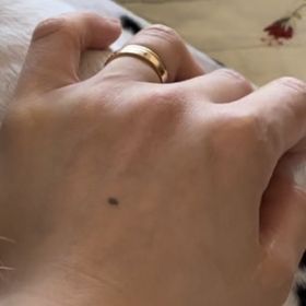 【カルティエ(Cartier)の口コミ】 シンプルで着け心地もよく、手につけたときにこれだと思いました。価格帯…