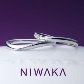 【俄(にわか)】遥風 HARUKAZE