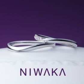 【俄(にわか)】遥風 HARUKAZE