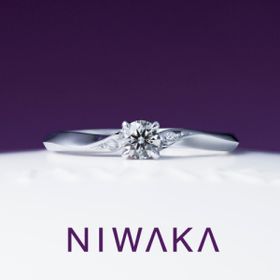 【TOMPKINS(トンプキンス)】ことのは　KOTONOHA