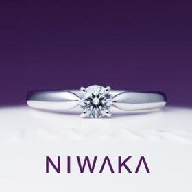 【TOMPKINS(トンプキンス)】花咲　HANAEMI