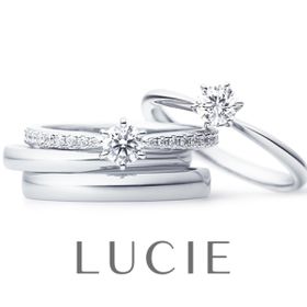 [Espoir] エスポワール (希望の薔薇)