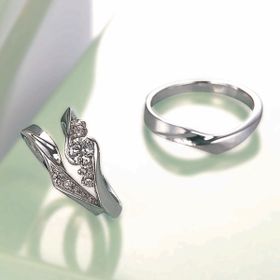 クレマチス (クレマテイト)