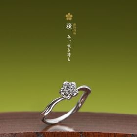 【萬時】桜( Sakura )