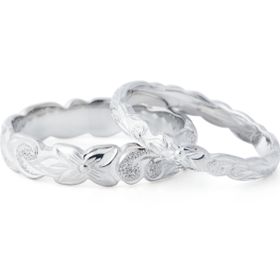 NAO[ナオ] さざ波