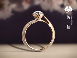 杢目金屋(もくめがねや)