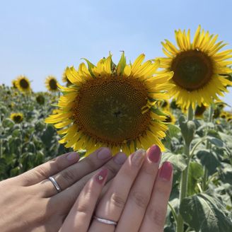 【canal4℃(カナルヨンドシー)】の口コミ 左手につけるので
左から右上がりで上がっているデザインを選びました。
...