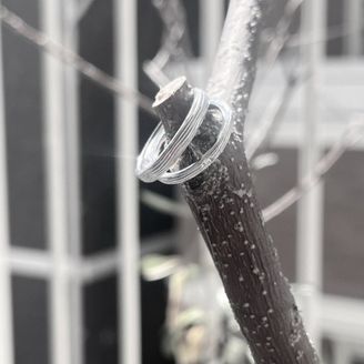 【FRAU KOBE JAPAN(フラウ コウベ ジャパン)】の口コミ 木目リングで探していて、幸福の木ともされている思い入れのあるオリーブの...