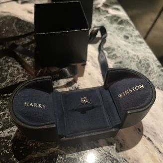 【ハリー・ウィンストン(Harry Winston)】の口コミ 王道デザイン。シンプルでどんな結婚指輪にも合わせることができる。ダイヤ...