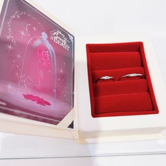 【Beauty and the Beast(ディズニー美女と野獣)】の口コミ Disney好きなの方には強くオススメします！
美女と野獣が好きだった...