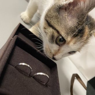 【Ankhore(アンクオーレ)】の口コミ 仕事上、軍手をはめていても、傷つくことがあります。その為、傷ついても目...