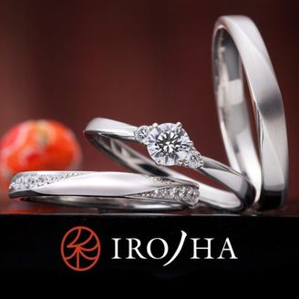 【JKPLANET(JKプラネット)】木漏れ日の散歩道