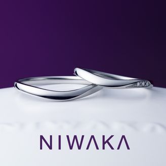 【俄(にわか)】雪芽吹 YUKIMEBUKI