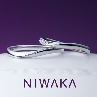 【俄(にわか)】遥風 HARUKAZE