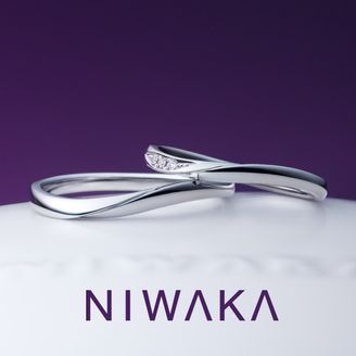 【俄(にわか)】遥風 HARUKAZE