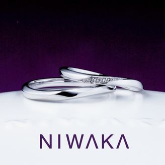 【俄(にわか)】朝葉 ASAHA