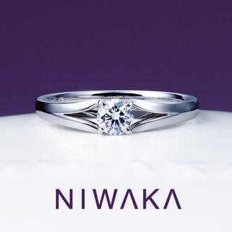 【俄(にわか)】瑞穂波 MIZUHONAMI