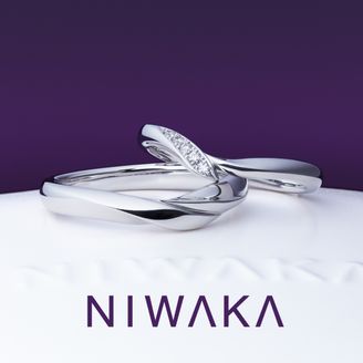 【俄(にわか)】初桜 UIZAKURA