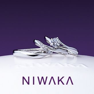 【俄(にわか)】初桜 UIZAKURA