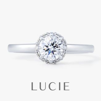 【TOMPKINS(トンプキンス)】 Branche　ブランシュ