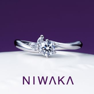 【TOMPKINS(トンプキンス)】 月彩　TSUKISAI