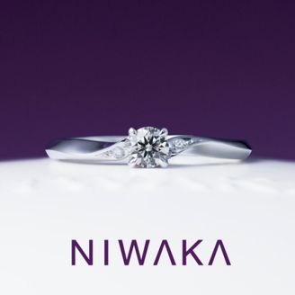 【TOMPKINS(トンプキンス)】ことのは　KOTONOHA