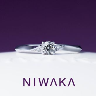 【TOMPKINS(トンプキンス)】 ことのは　KOTONOHA