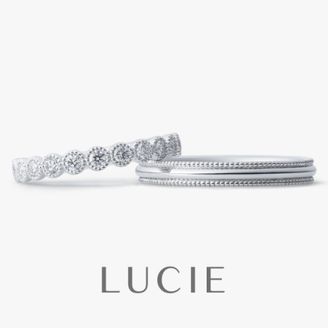 【TOMPKINS(トンプキンス)】Panier　パニエ