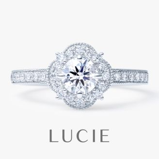 【TOMPKINS(トンプキンス)】Forêt　フォレ