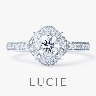 【TOMPKINS(トンプキンス)】 Forêt　フォレ