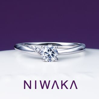 【TOMPKINS(トンプキンス)】 木洩日　KOMOREBI