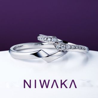 【TOMPKINS(トンプキンス)】綾　AYA