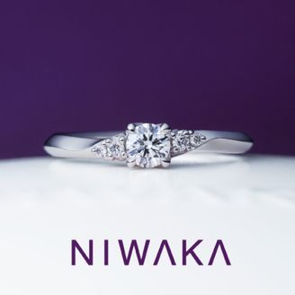 【TOMPKINS(トンプキンス)】ことのは　KOTONOHA