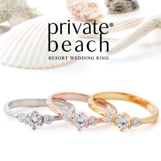 【garden(ガーデン)】OLINO 【かがやき】