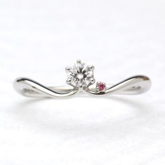 【garden(ガーデン)】遥か～こもも・こべにシリーズ～