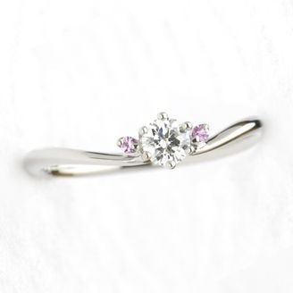 【garden(ガーデン)】果実（みのり）～こもも・こべにシリーズ～