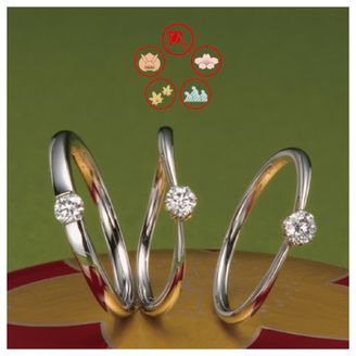 【garden(ガーデン)】こひな【小枠・小町・小桜】