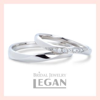 【LEGAN(レガン)】サイネリア（Cineraria）