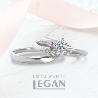 【LEGAN(レガン)】【セットプラン】ダイアンサス（Dianthus）