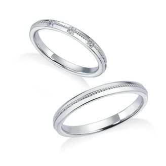 【中井脩】ロイヤルアッシャー【鳥取県のセレクトショップ】