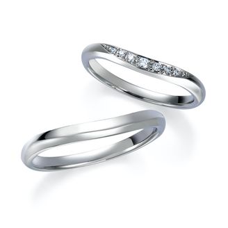 【中井脩】ロイヤルアッシャー【鳥取県のセレクトショップ】