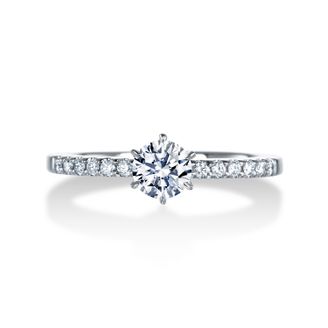 【中井脩】 ロイヤルアッシャー【鳥取県のセレクトショップ】