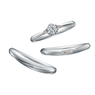 【中井脩】ディズニーシンデレラ【鳥取県のセレクトショップ】