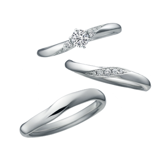 【中井脩】ディズニーシンデレラ【鳥取県のセレクトショップ】