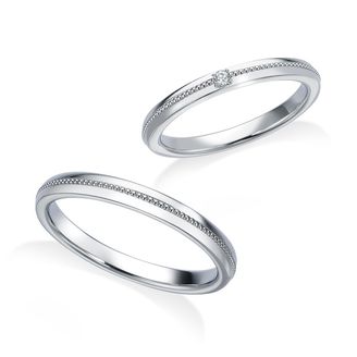 【中井脩】ロイヤルアッシャー【鳥取県のセレクトショップ】