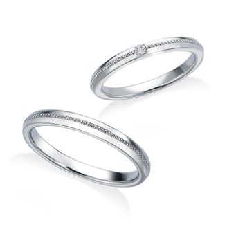 【中井脩】 ロイヤルアッシャー【鳥取県のセレクトショップ】