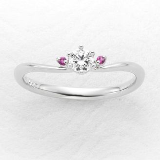 【ひな】果実（みのり）～こもも・こべにシリーズ～