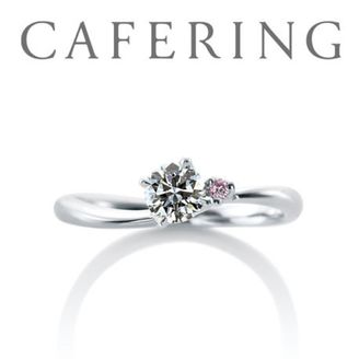 【一真堂】ローズヒップ